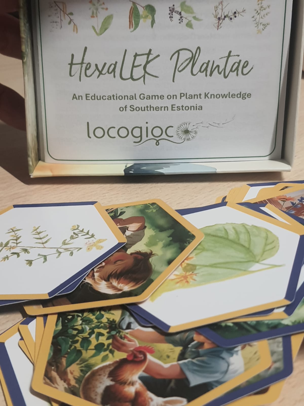 HexaLEK Plantae